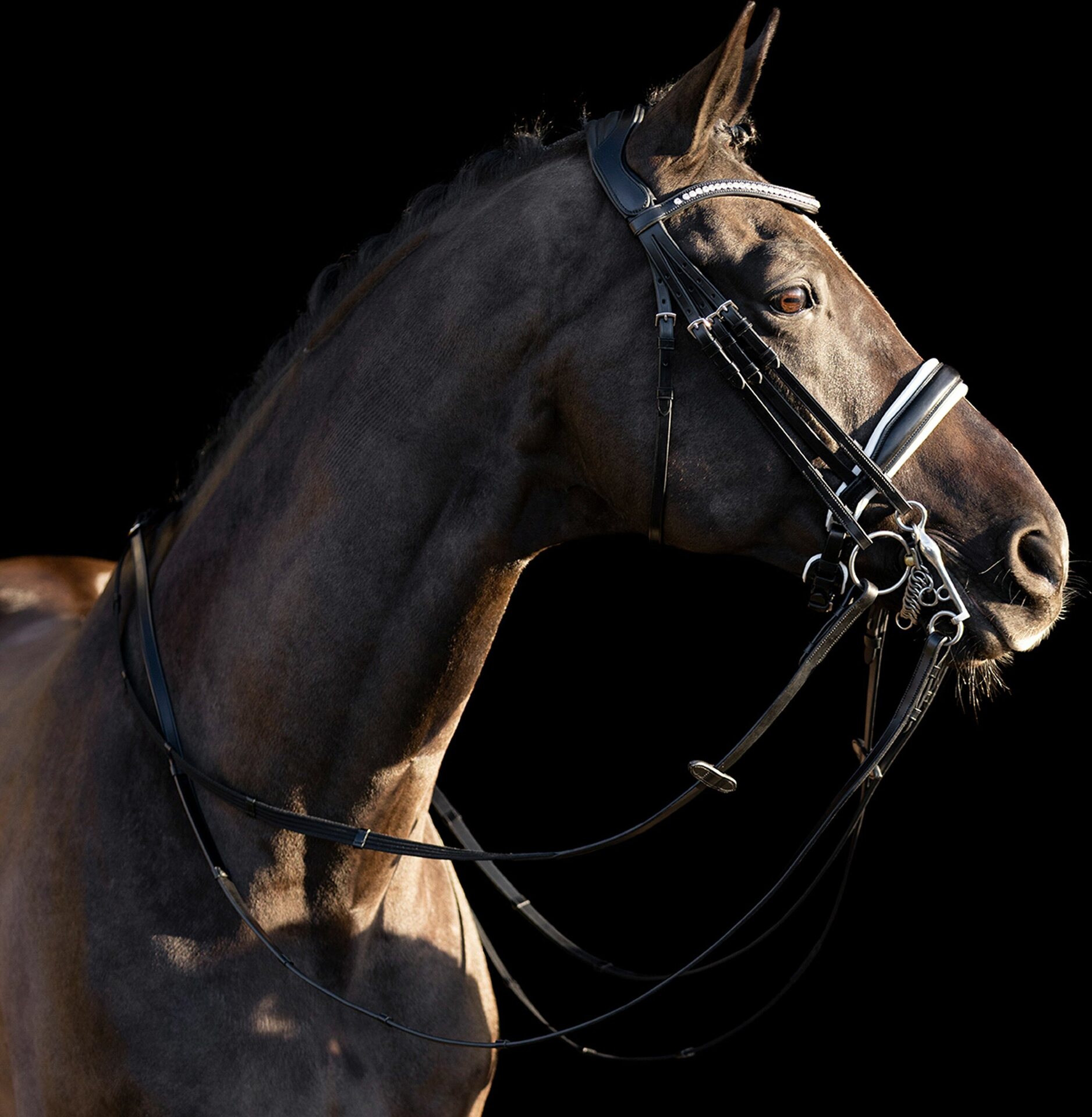 HV Polo Legacy DeLuxe kankisuitset Musta/Valkoinen