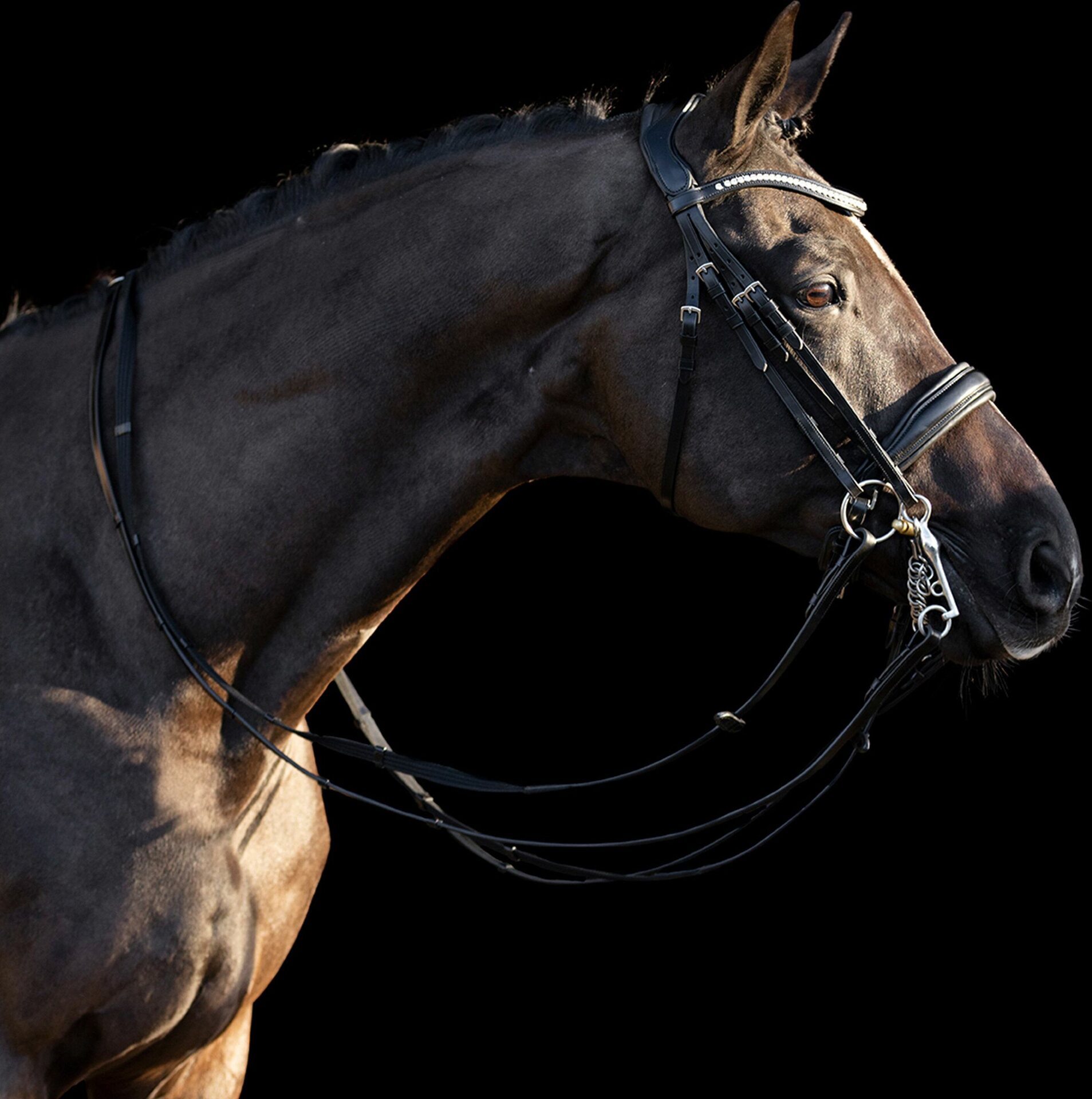 HV Polo Legacy DeLuxe kankisuitset Musta