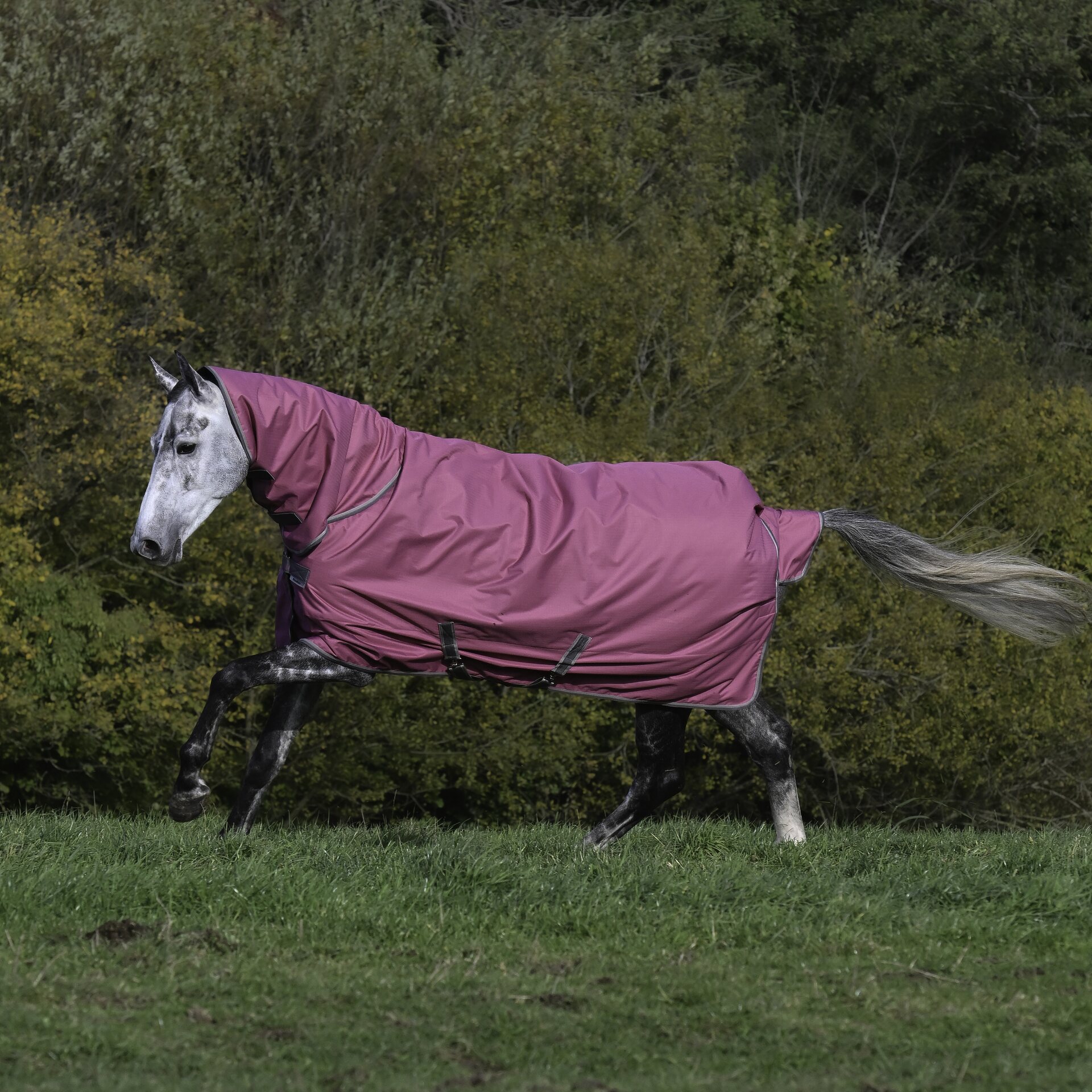 Bucas Freedom Turnout Light Full Neck sadeloimi Raspberry