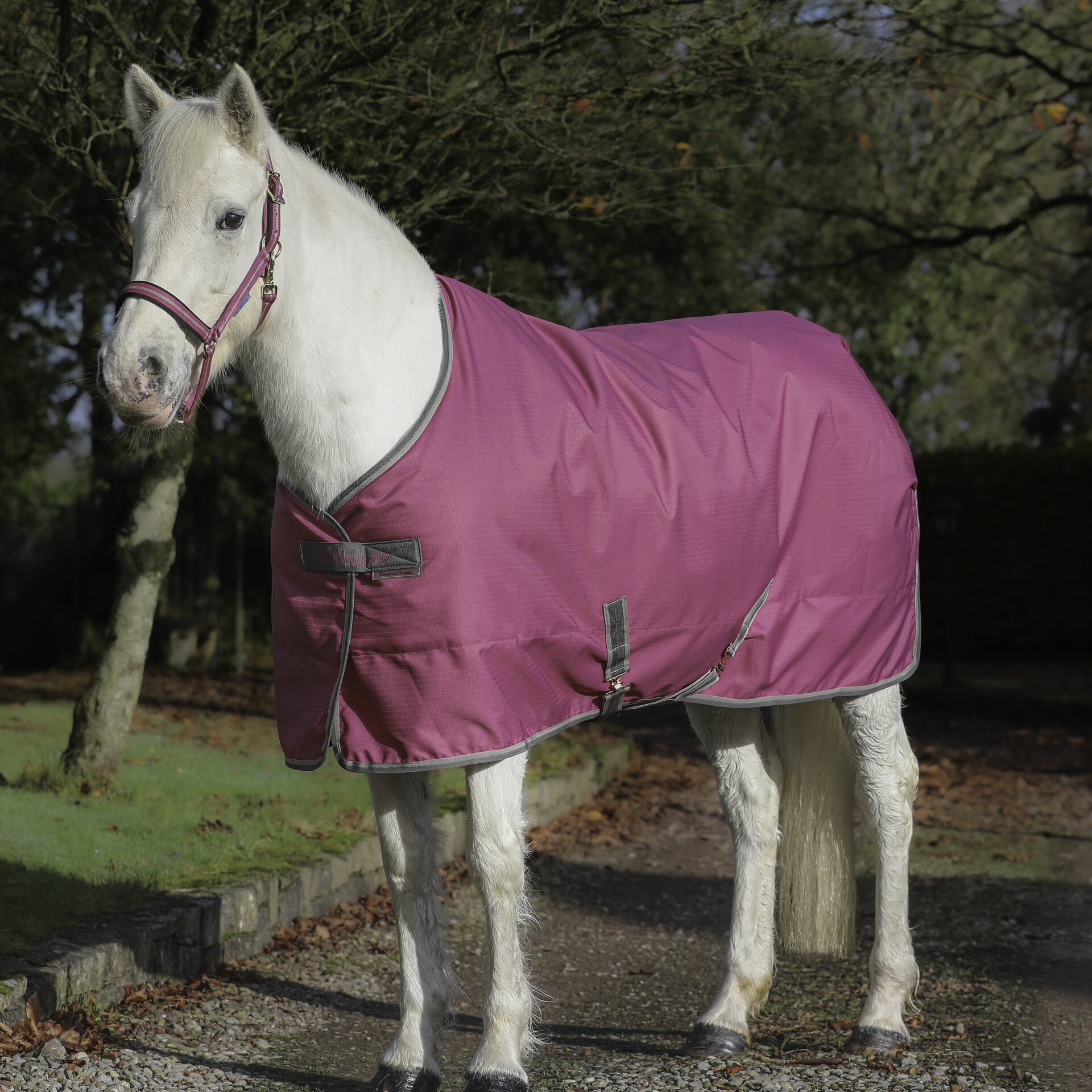 Bucas Freedom Stable 150g talliloimi Raspberry