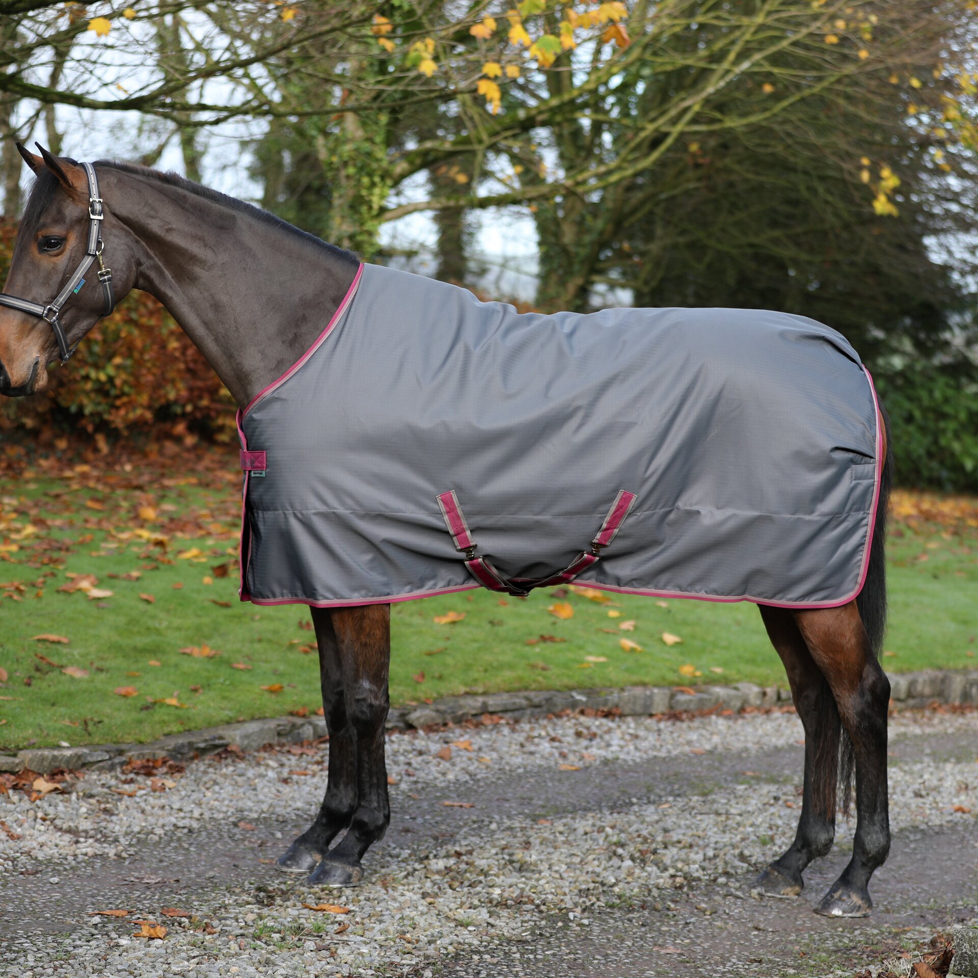 Bucas Freedom Stable 150g talliloimi Smoke Grey