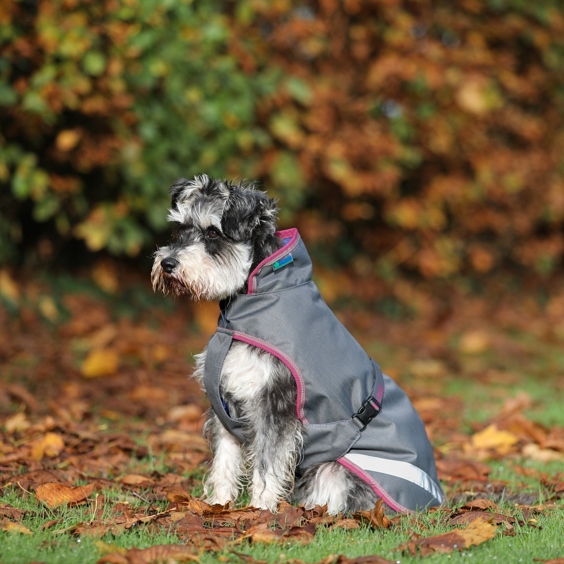 Bucas Freedom 150g koiraloimi Smoke Grey