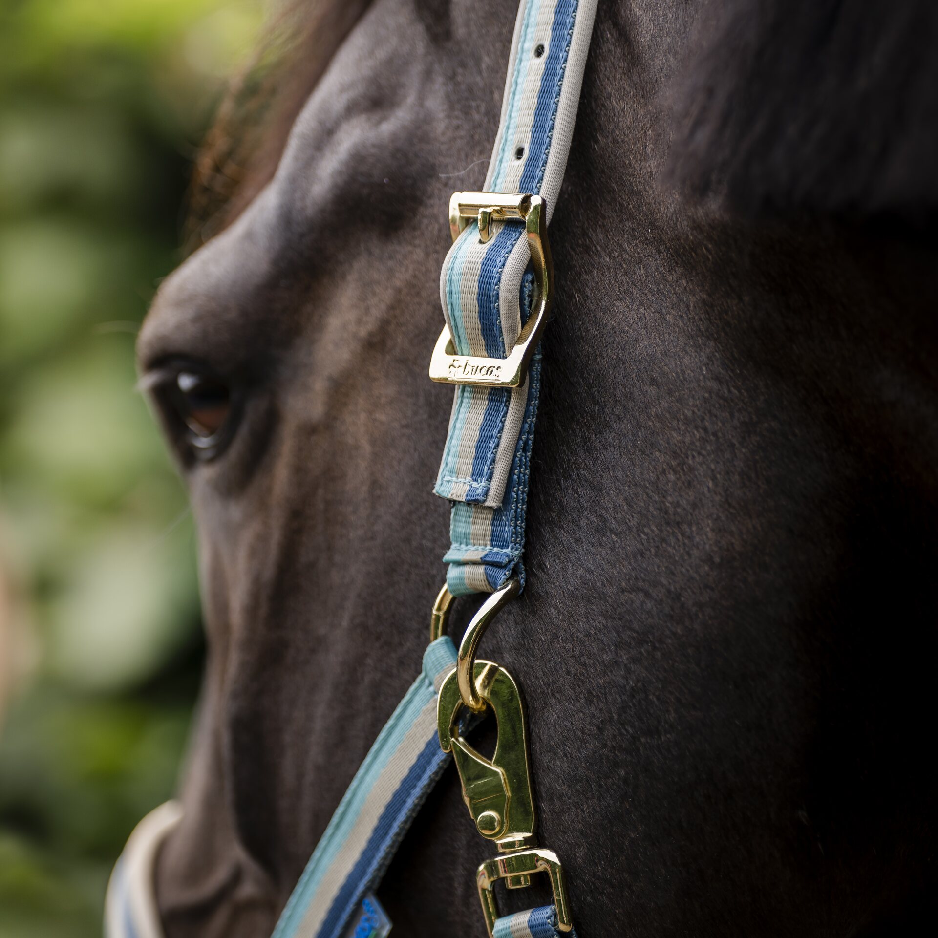 Bucas Dublin riimu Turkoosi