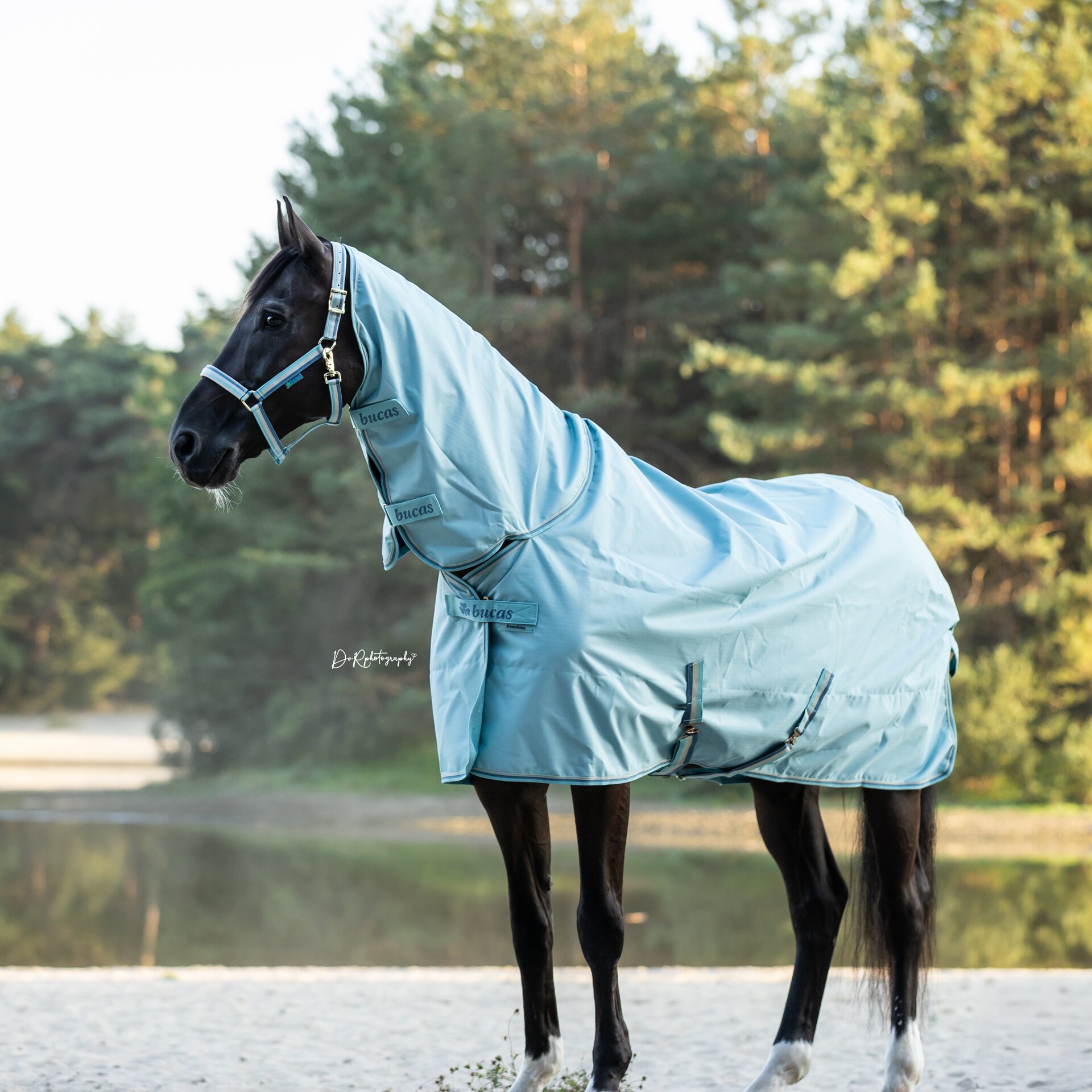 Bucas Freedom Turnout Light Full Neck sadeloimi Turkoosi