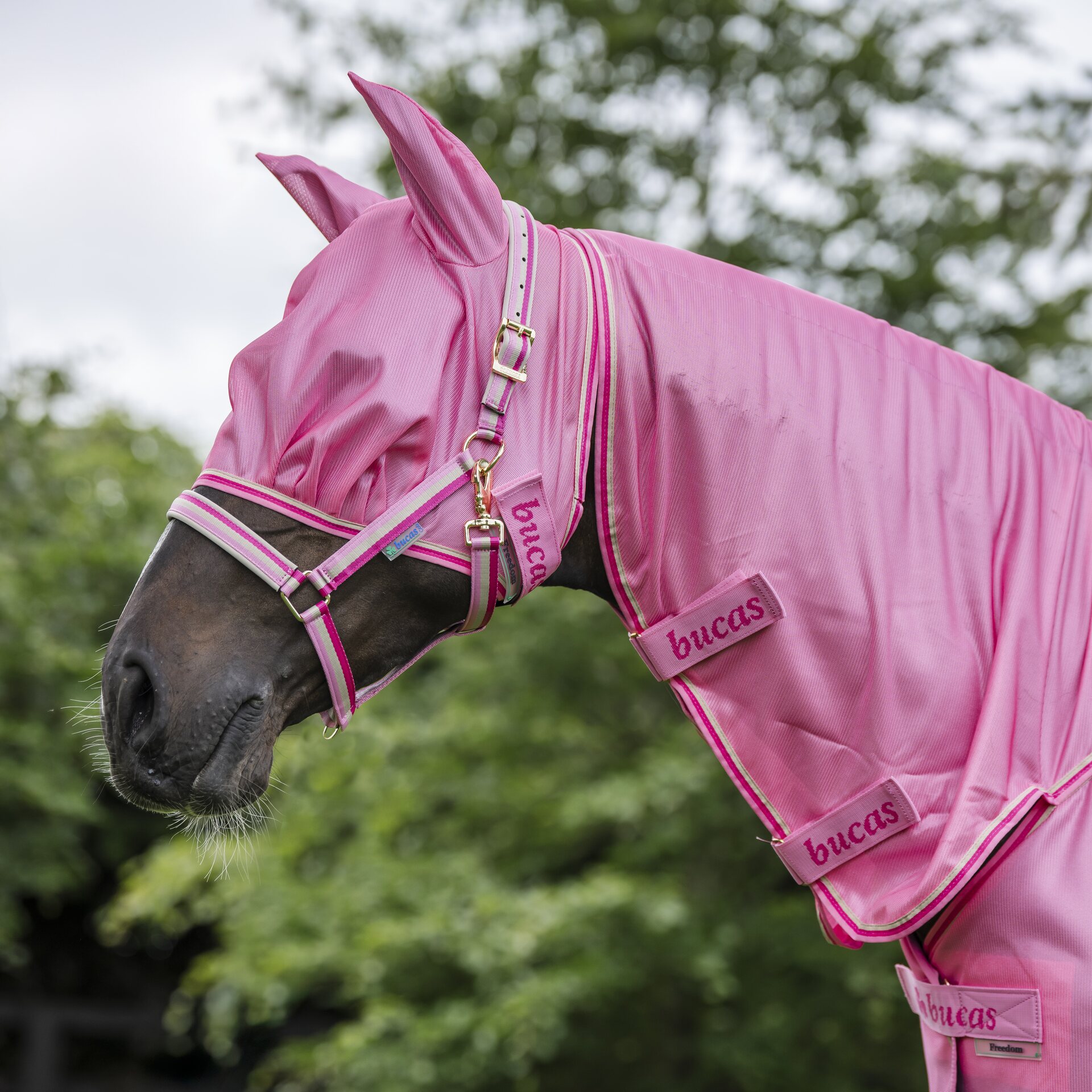 Bucas Freedom Fly Mask hyönteishuppu Aurora Pink