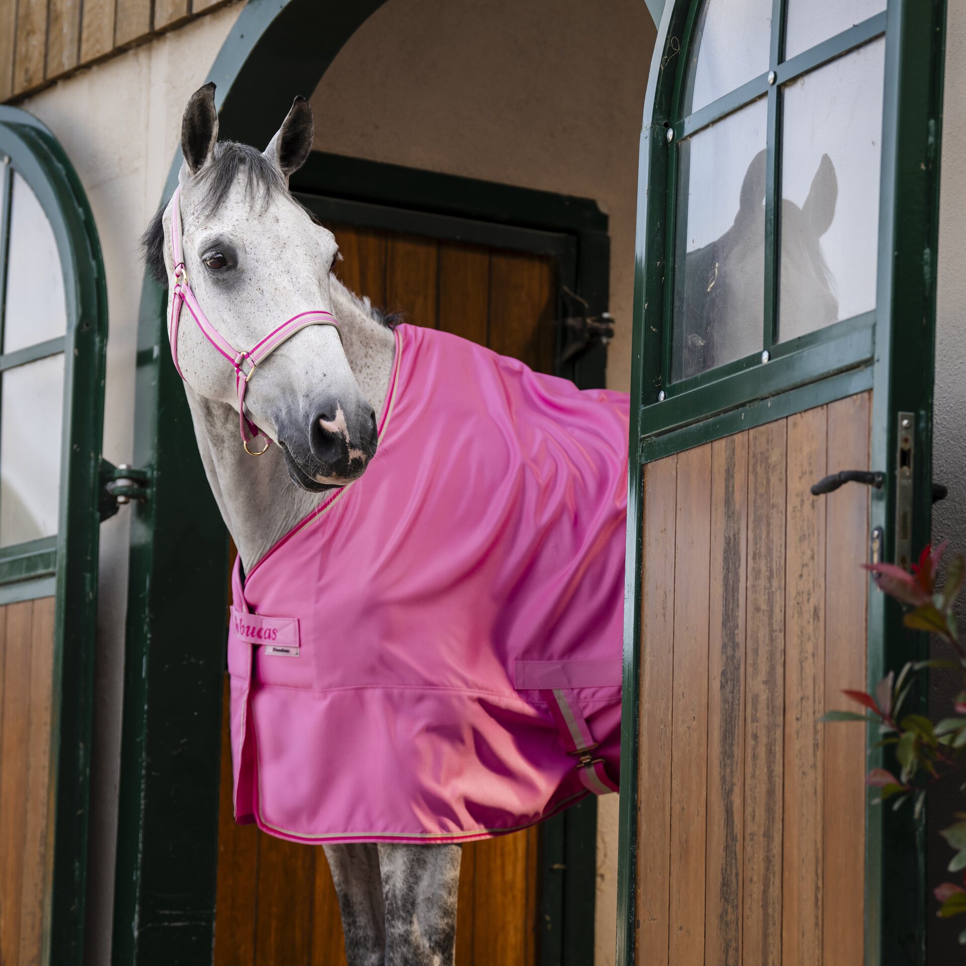 Bucas Freedom Twill Sheet talliloimi Aurora Pink