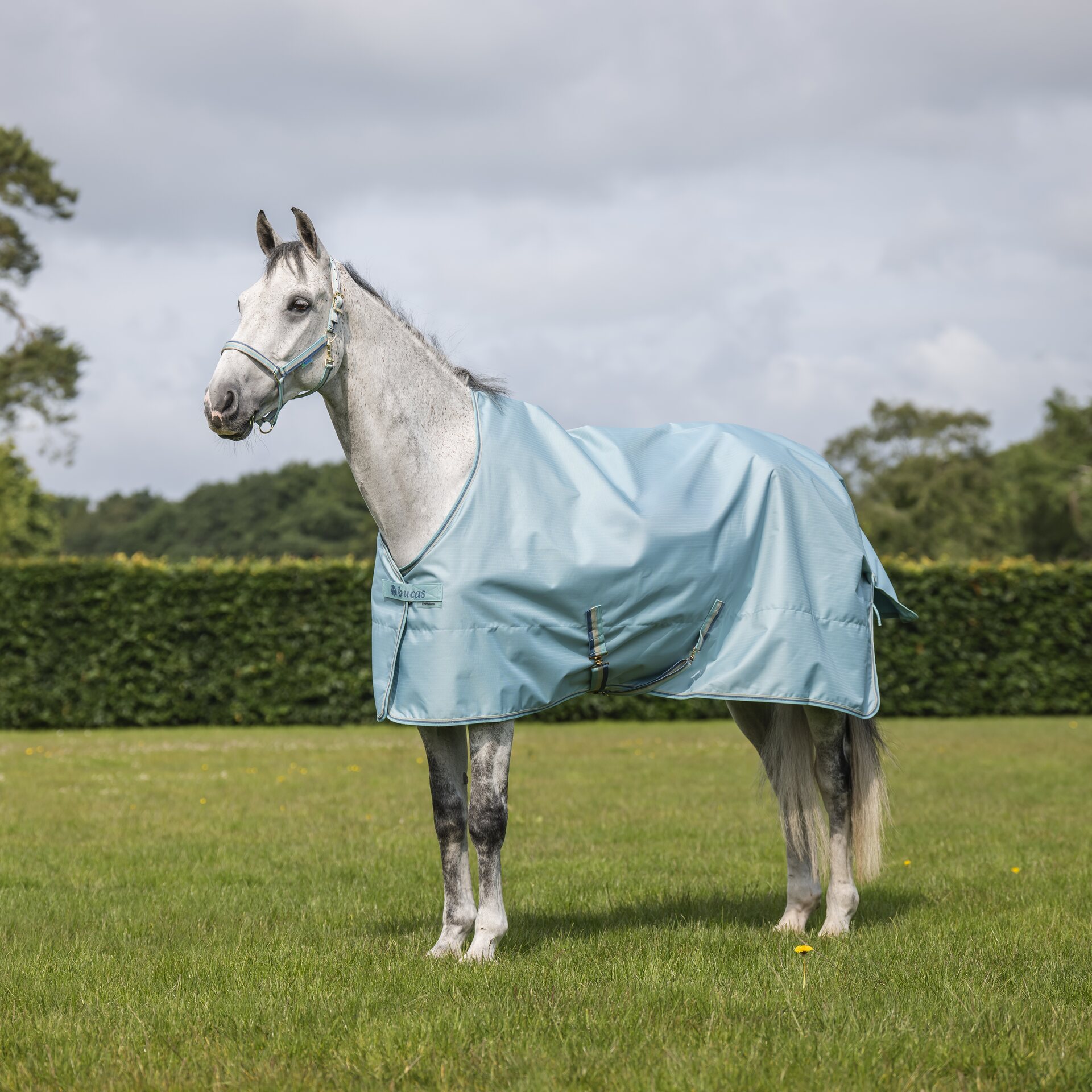 Bucas Freedom Twill Sheet talliloimi Turkoosi