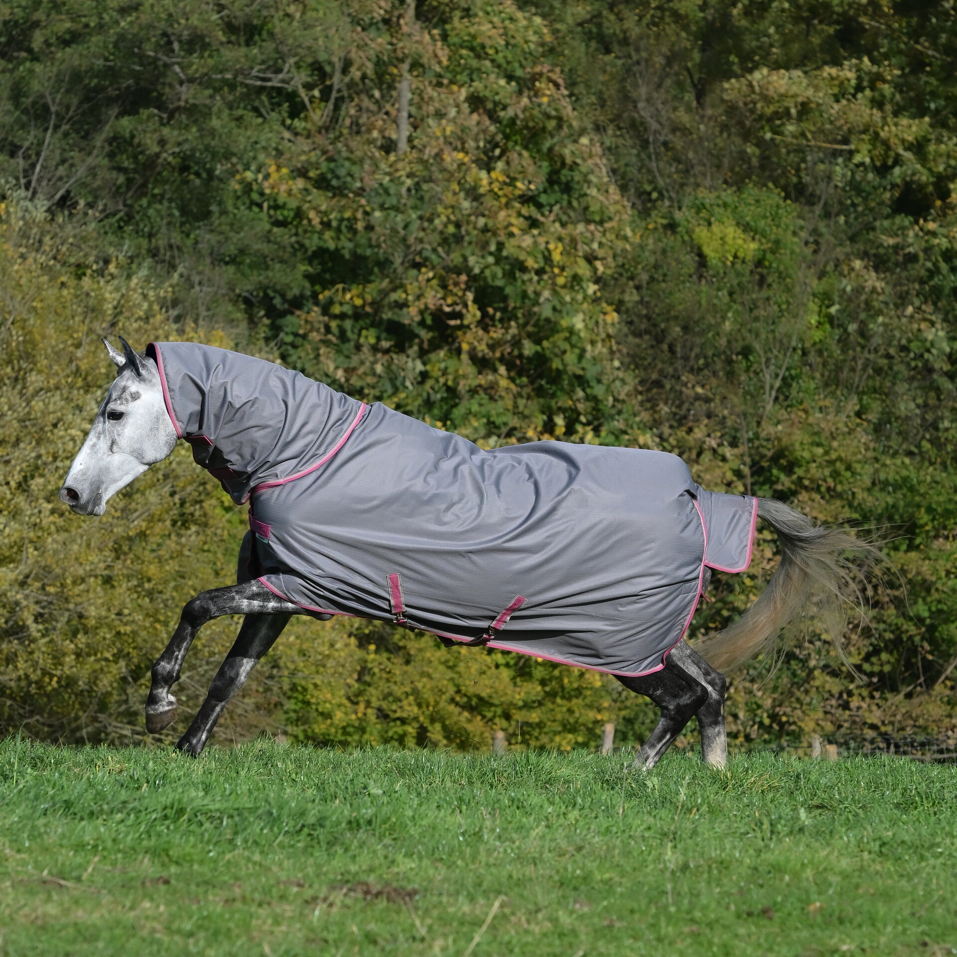 Bucas Freedom Turnout Light Full Neck Limited Edition sadeloimi Smoke