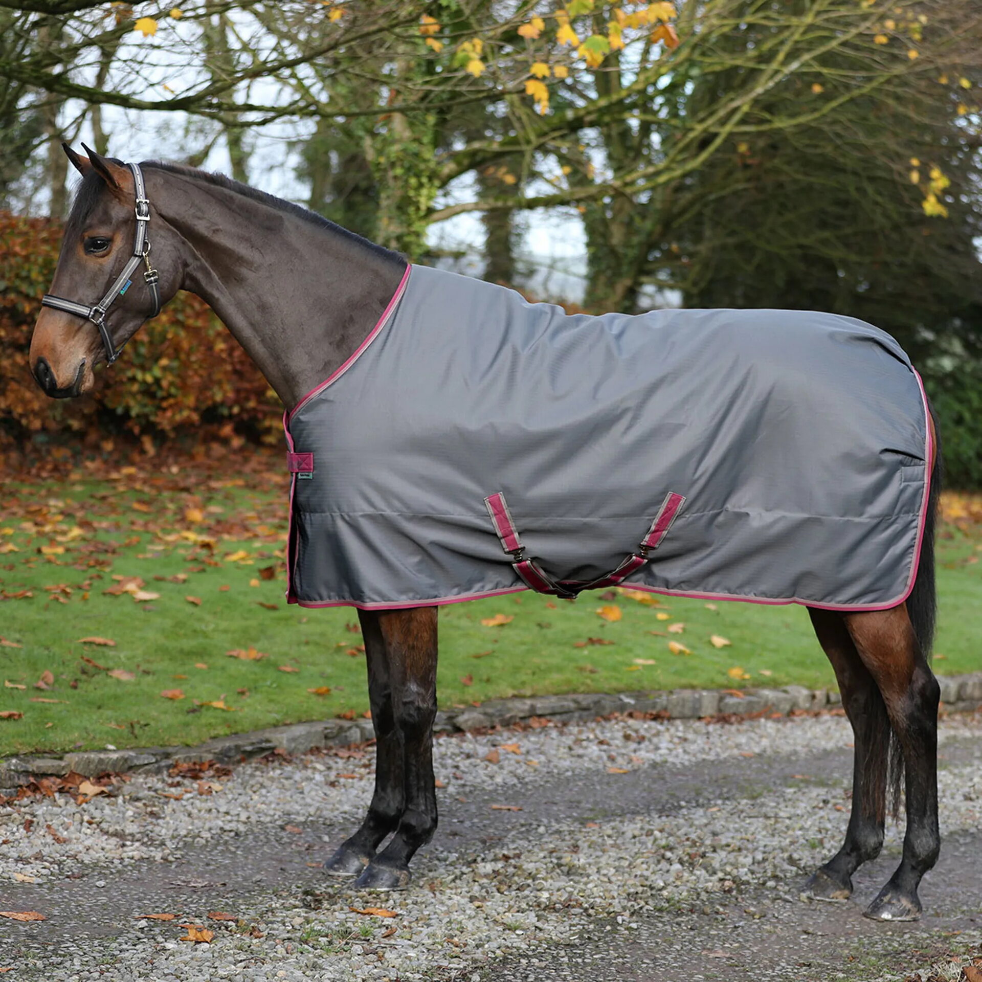 Bucas AW25 Freedom Stable 300g talliloimi Smoke Grey