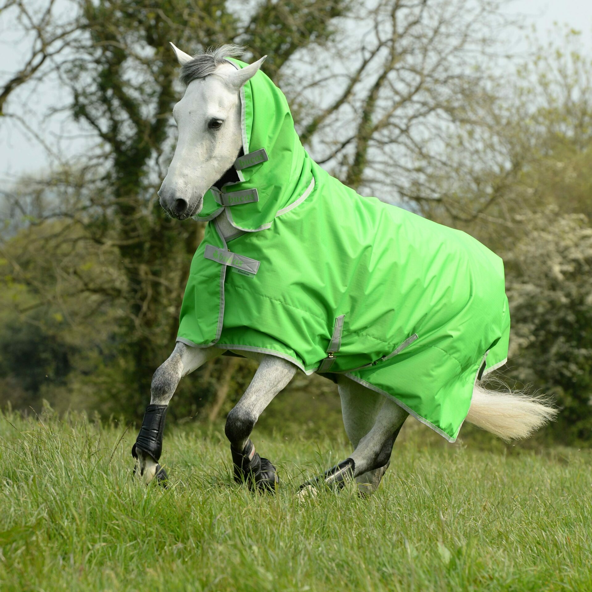 Bucas Freedom Turnout Light Full Neck sadeloimi Ulkoloimet ja