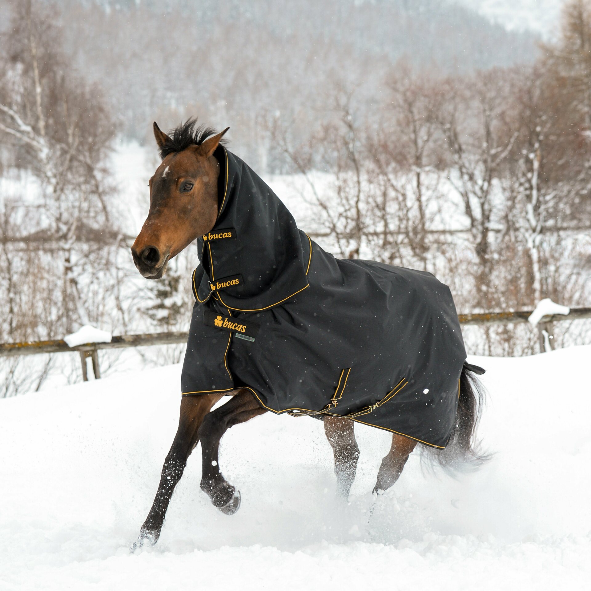 Bucas Irish Turnout Light loimi + kaulakappale setti Musta