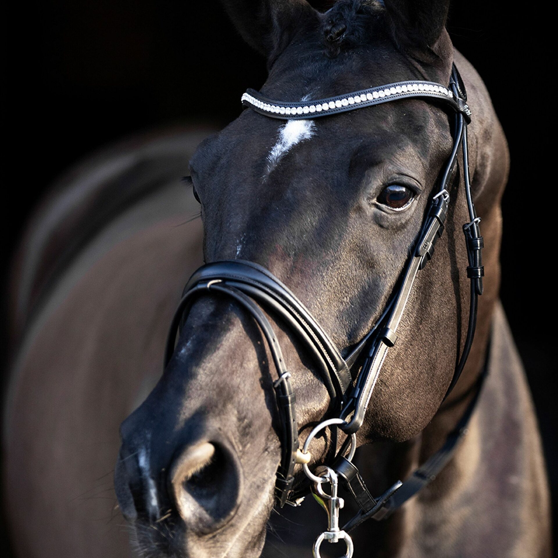 HV Polo Legacy DeLuxe nivelsuitset Musta