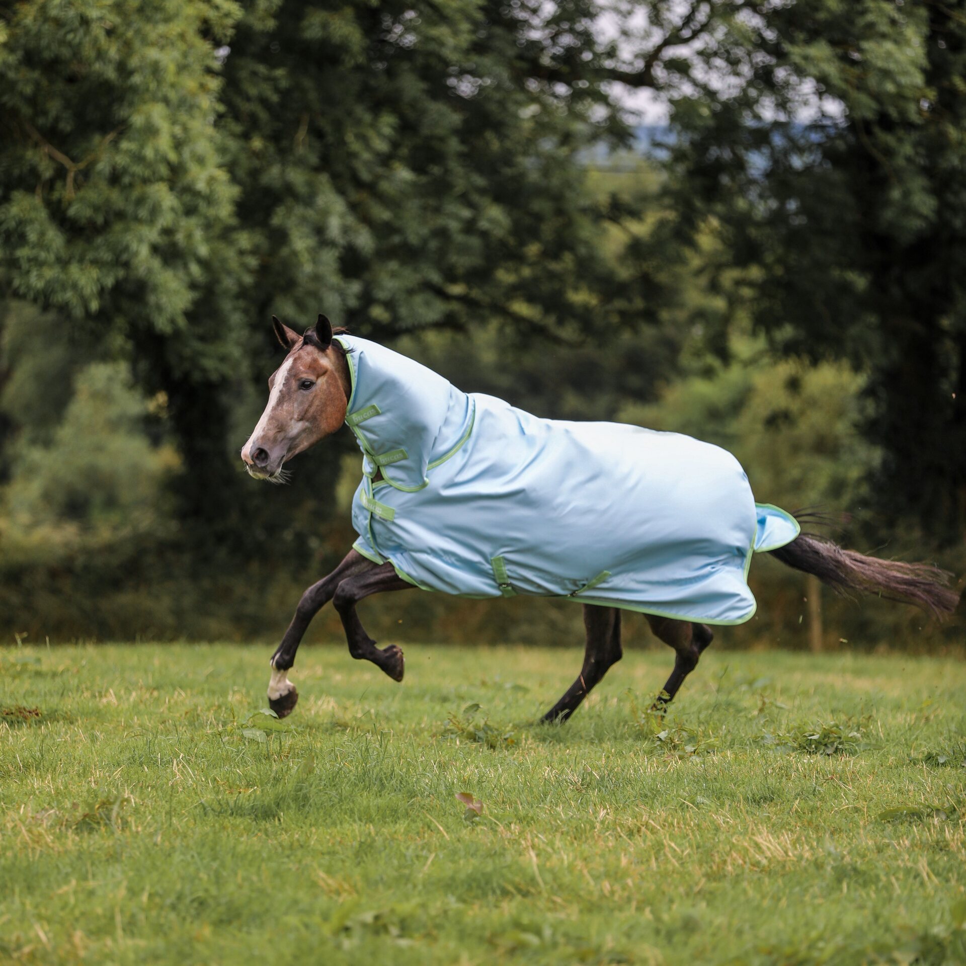 Bucas Freedom Turnout Light Full Neck sadeloimi Cool Blue