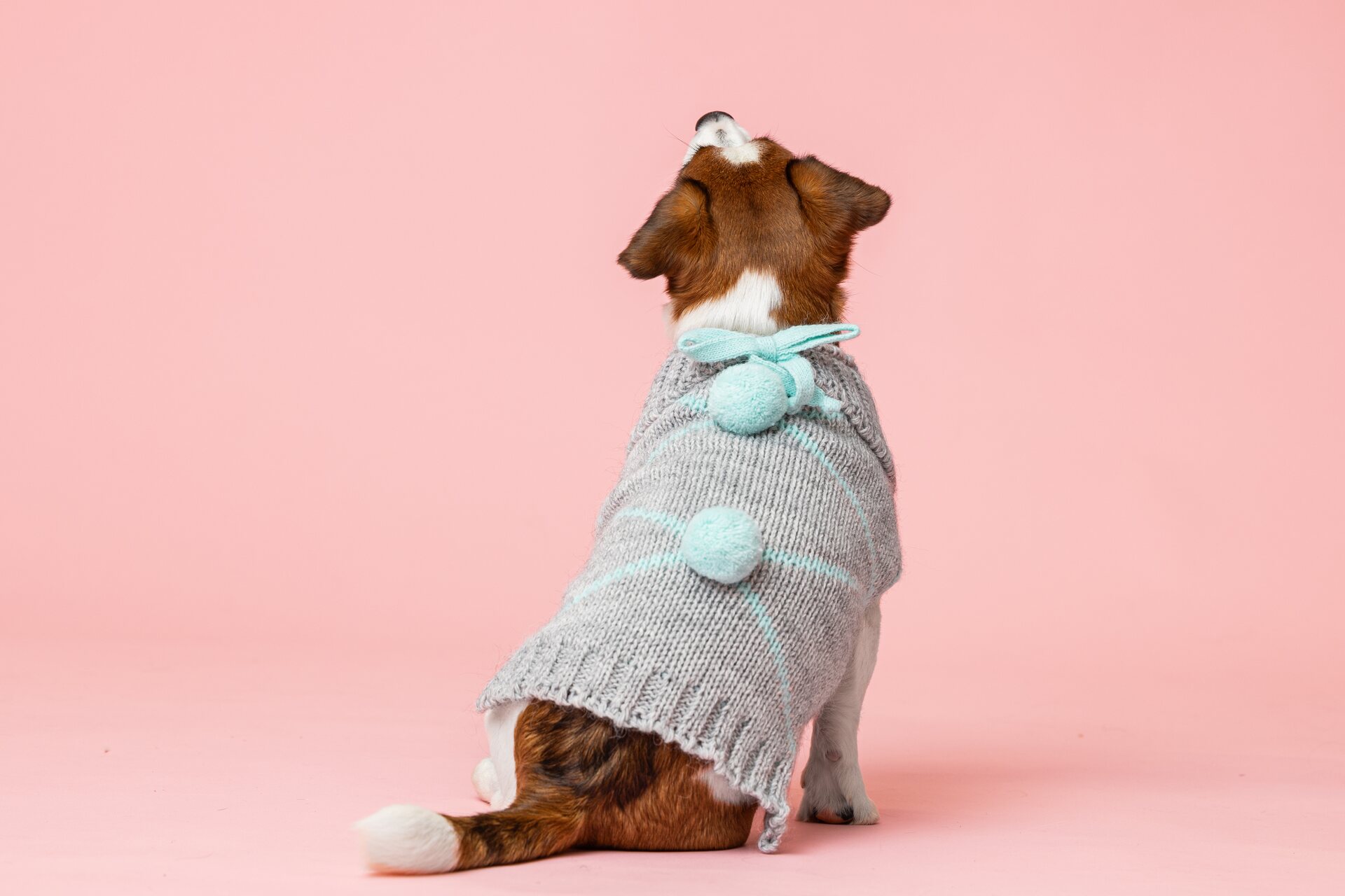 House of Horses PomPom koirien neule Minttu