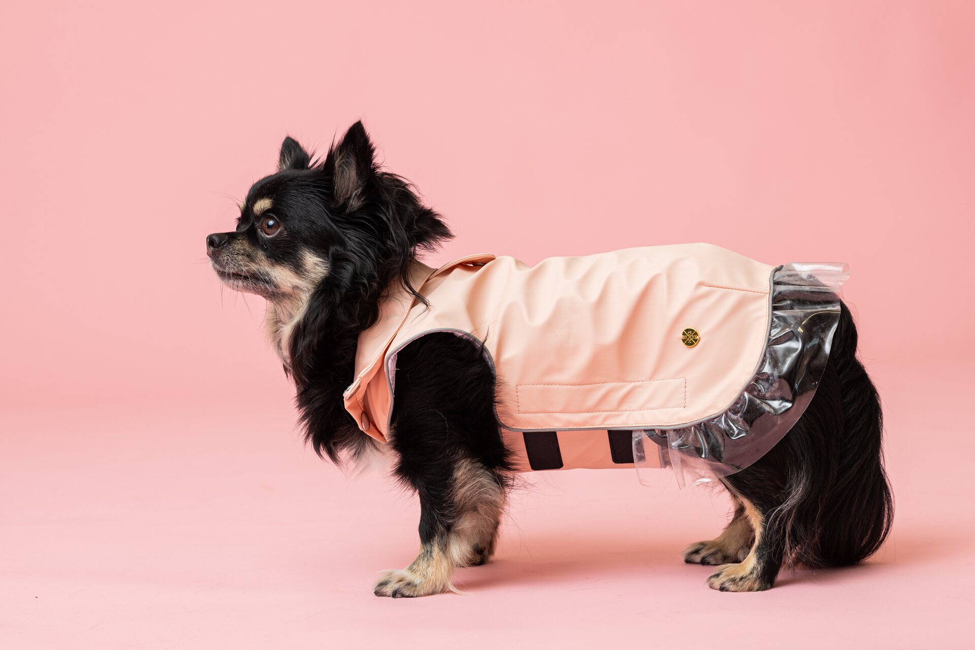 House of Horses Rain a little for dogs Vaaleanpunainen