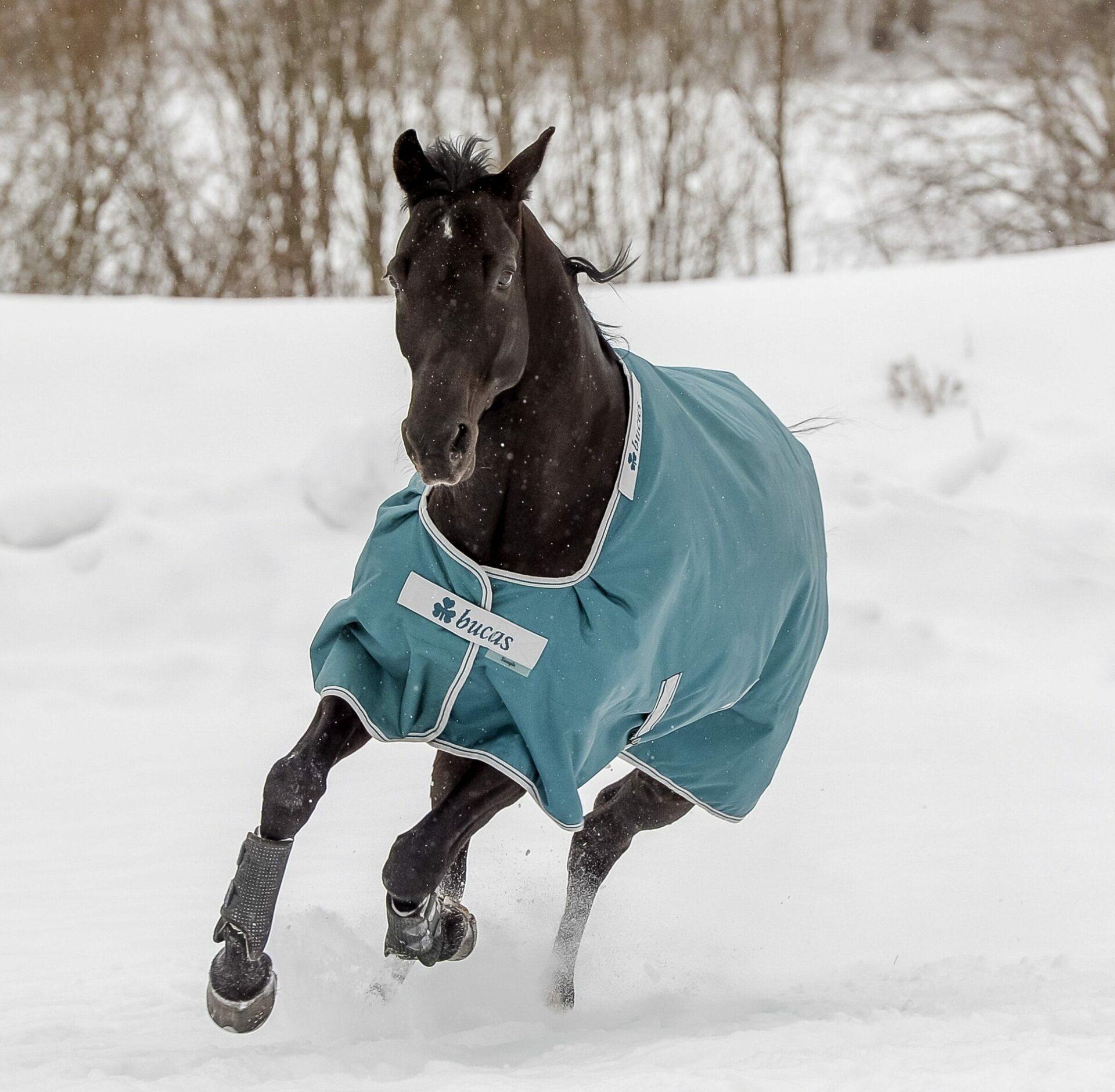 Bucas Atlantic Turnout 400g ulkoloimi Atlantic Green