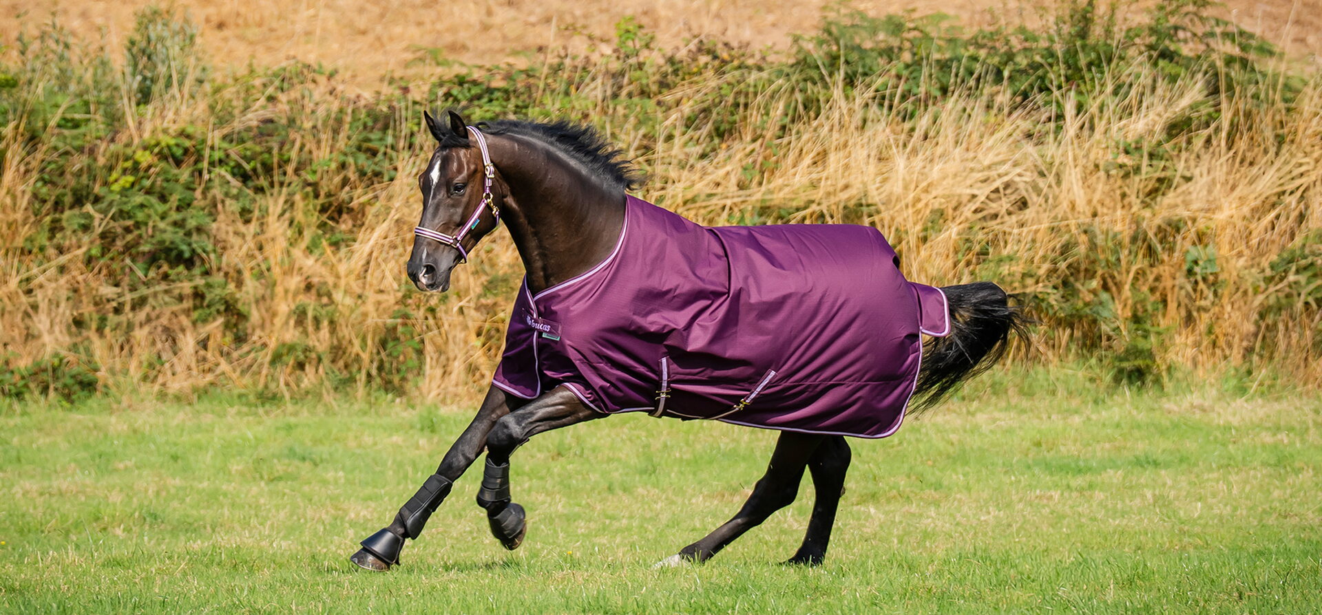 Bucas Freedom Stable 150g talliloimi Blackberry