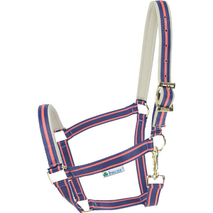 Bucas Dublin riimu, Navy/Grape, Full