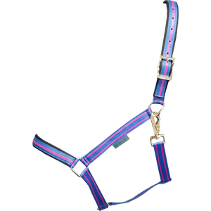 Bucas Dublin riimu, Denim, Pony