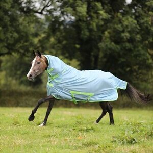 Bucas Freedom Fly Sheet Full Neck hyönteisloimi, Cool Blue, 165cm