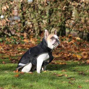 Bucas Freedom 150g koiraloimi, Black/Taupe, 55cm