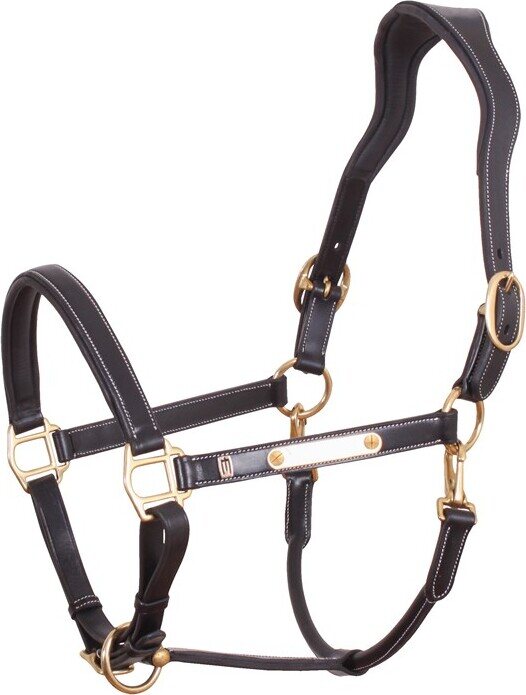 By Equality Line Nahkariimu Musta