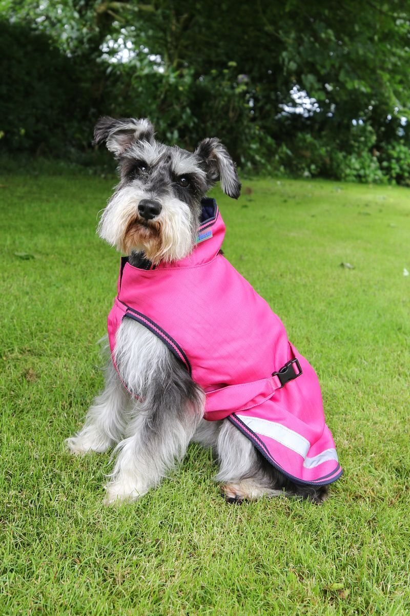 Bucas SS24 Freedom 50g koiraloimi Fuchsia