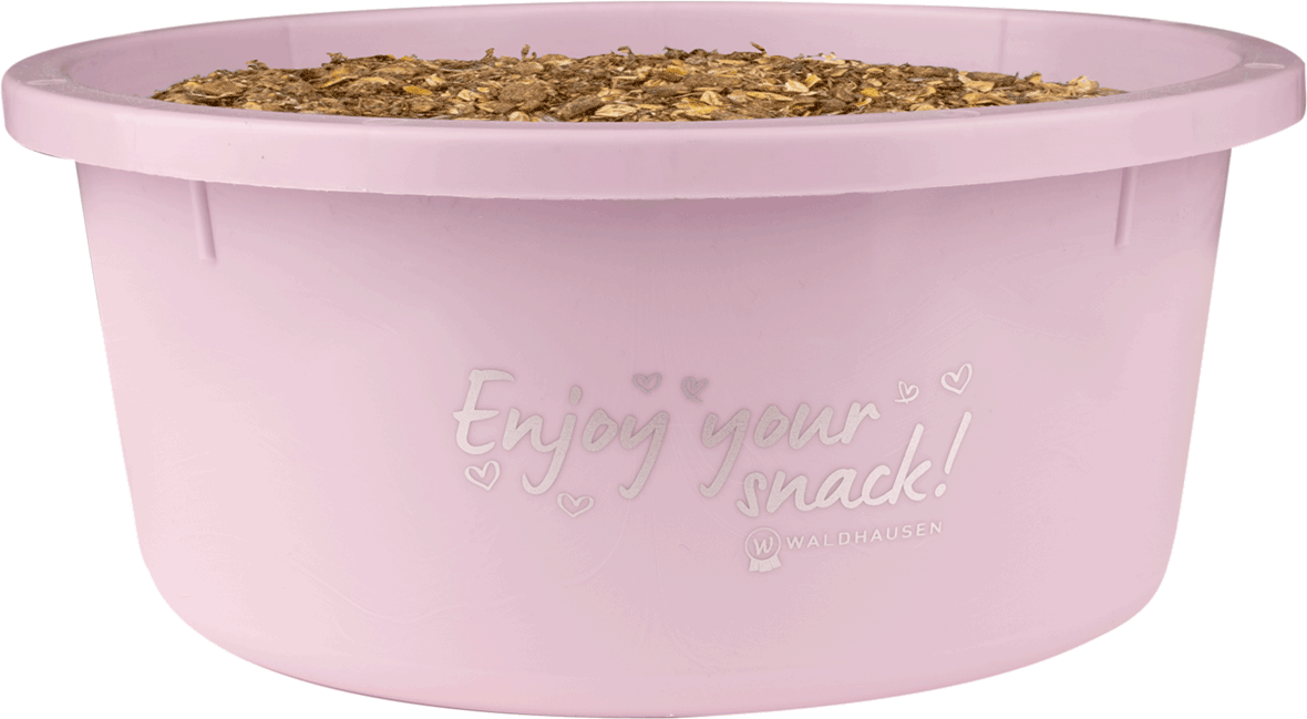 Waldhausen Kannellinen ruoka-astia 2l Linnea Pink