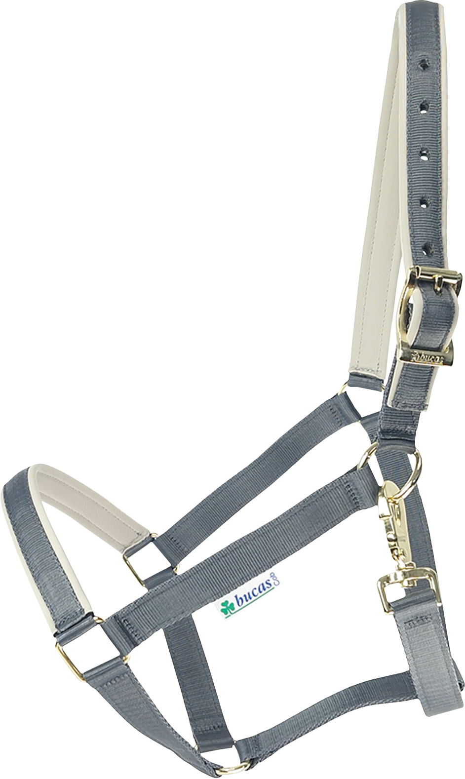 Bucas Dublin riimu Iron Gate