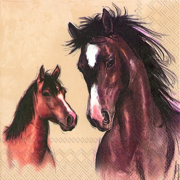 IHR Amy and Lucy lounasservetit Cream