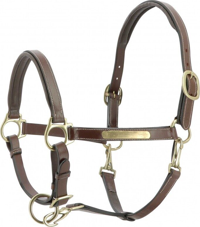 Eric Thomas Pro Grooming nahkariimu Ruskea