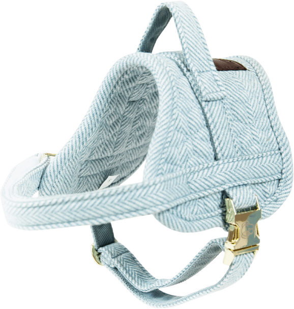 Kentucky Body Safe Wool koiran valjaat Vaaleansininen