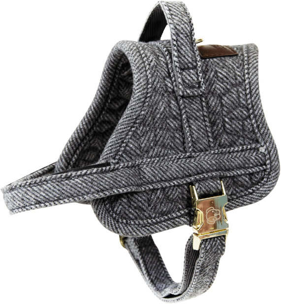 Kentucky Body Safe Wool koiran valjaat Musta