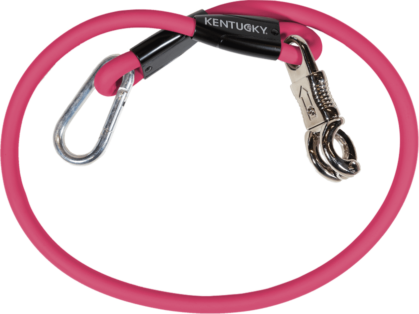 Kentucky Silicone trailerinaru Pinkki