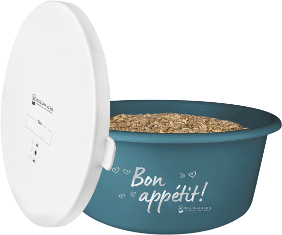 Waldhausen Kannellinen ruoka-astia 2l Petrooli