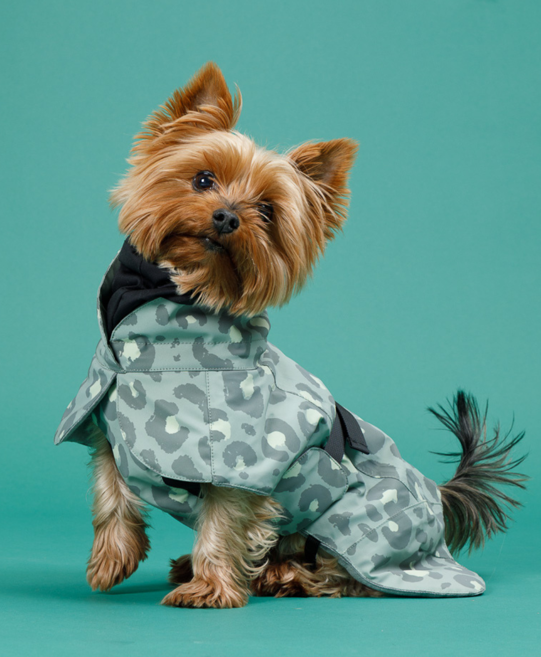 PAIKKA Visibility Winter koirantakki Green Leo