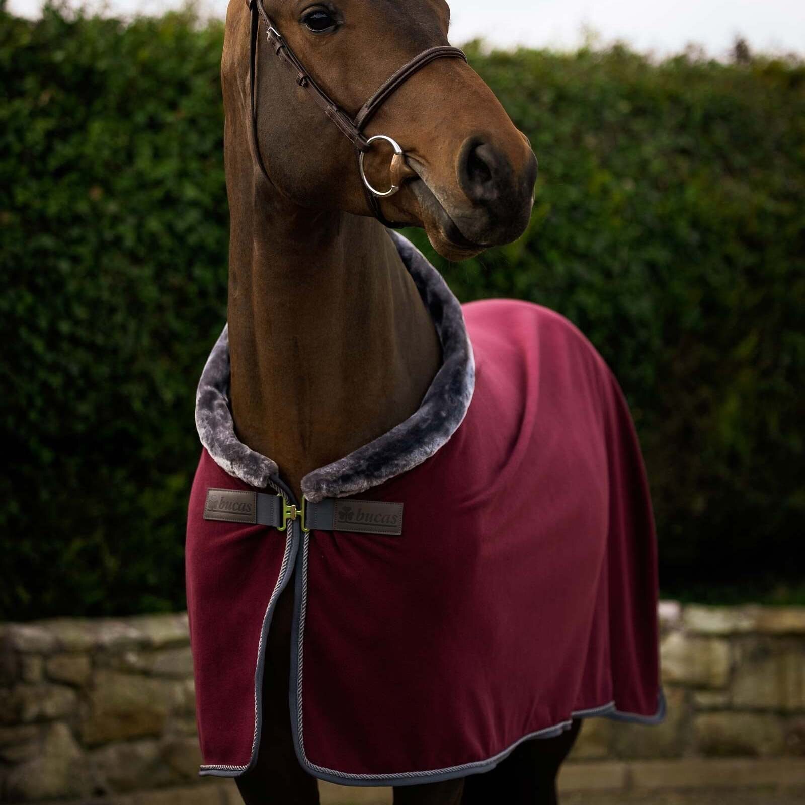 Bucas Show-Line fleeceloimi 400g Burgundy