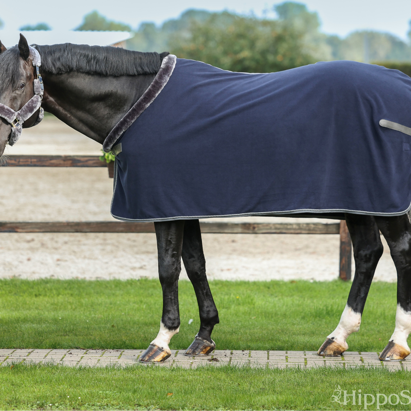 Bucas Show-Line fleeceloimi 400g Navy-harmaa