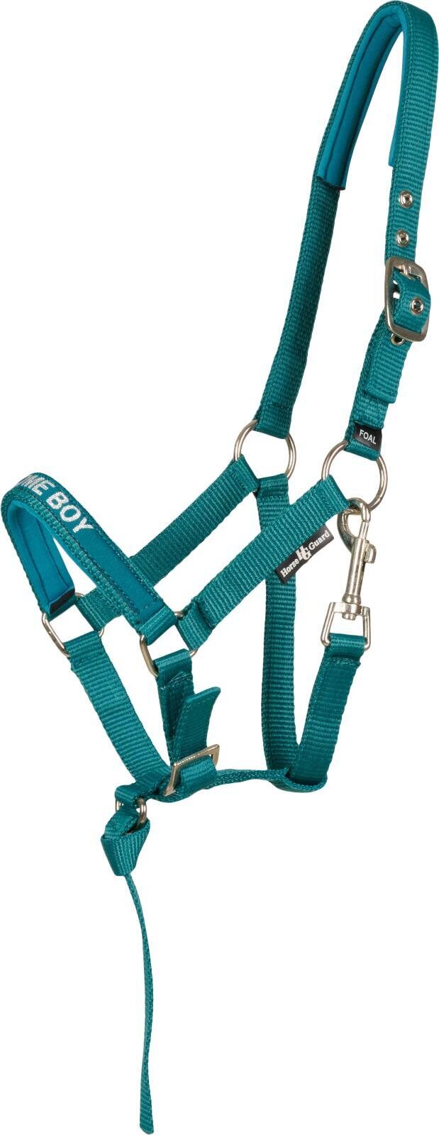 Horse Guard Varsariimu Turkoosi