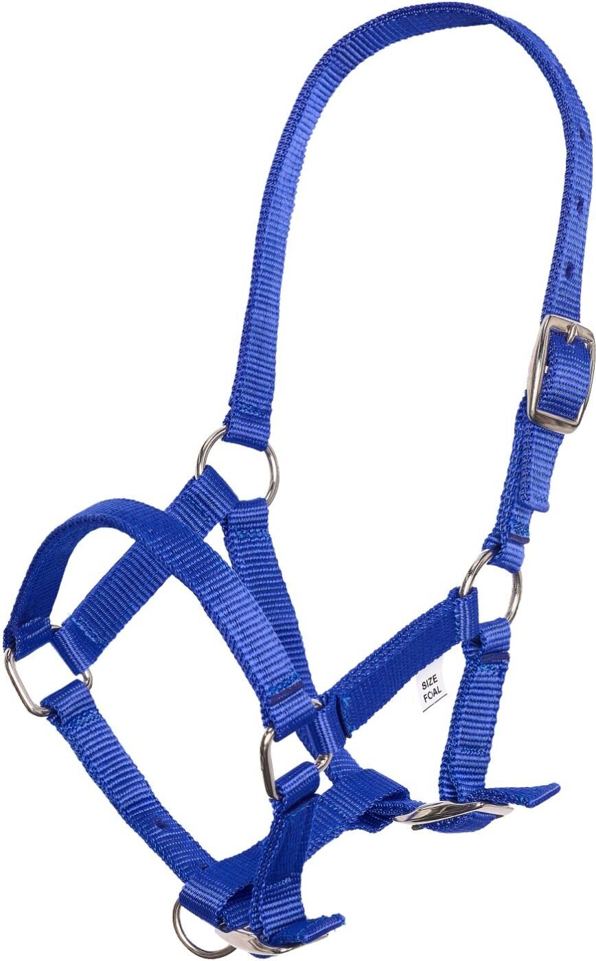 Imperial Riding Varsariimu Sininen