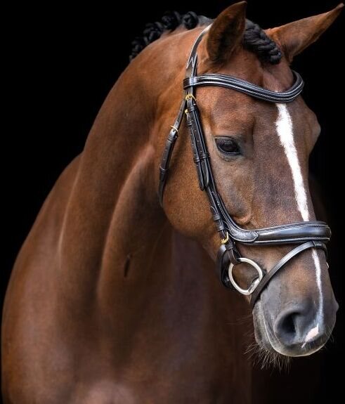 Imperial Riding Anatomisesti muotoillut nivelsuitset Ruskea