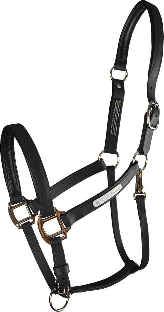 Equilibrium Stellar turvariimu Musta