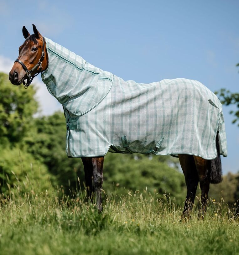 Horseware Newmarket Plus ötökkäloimi Witney Dynasty
