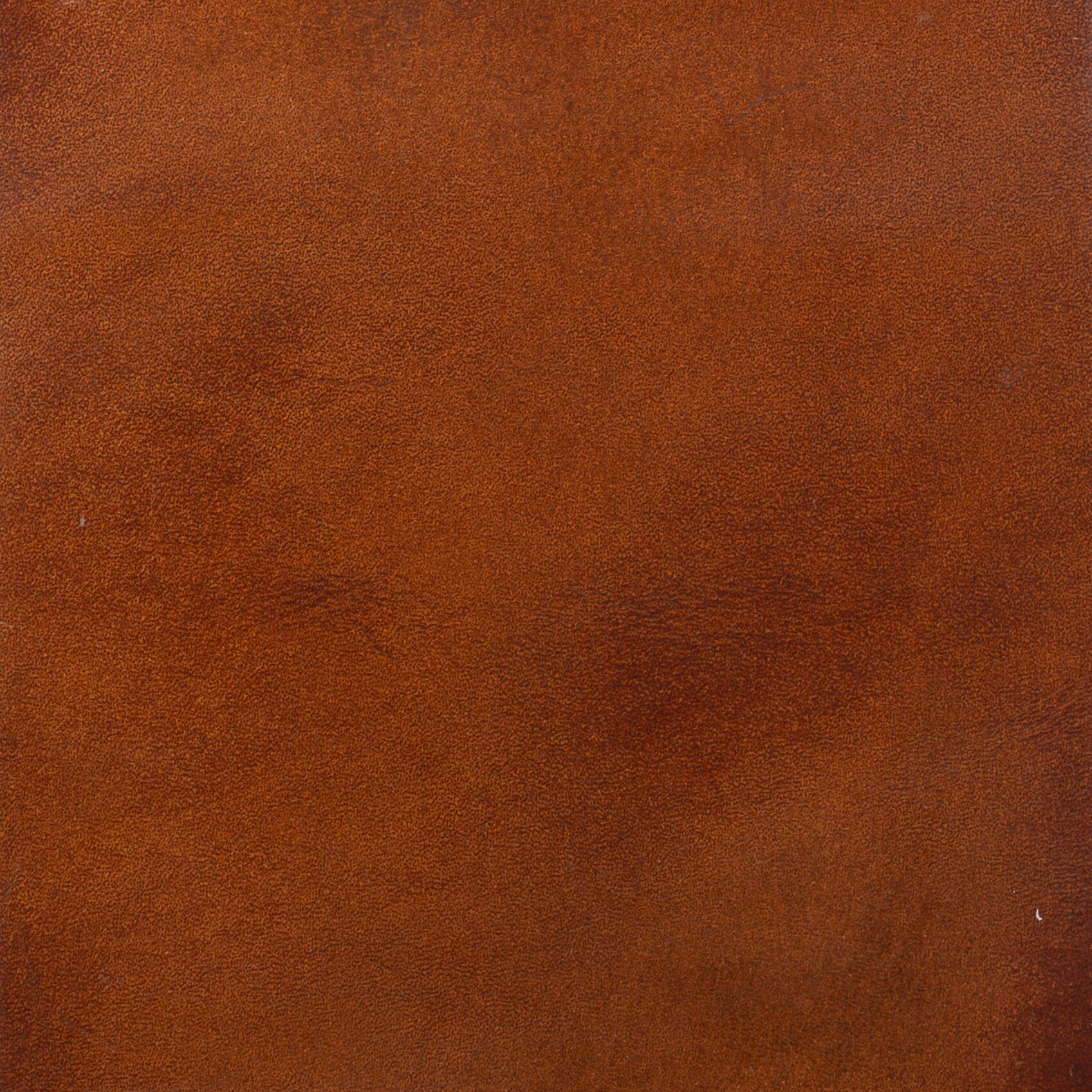 Alberto Fasciani Vienna Custom Wing ratsastussaappaat Brushed Picasso Goya