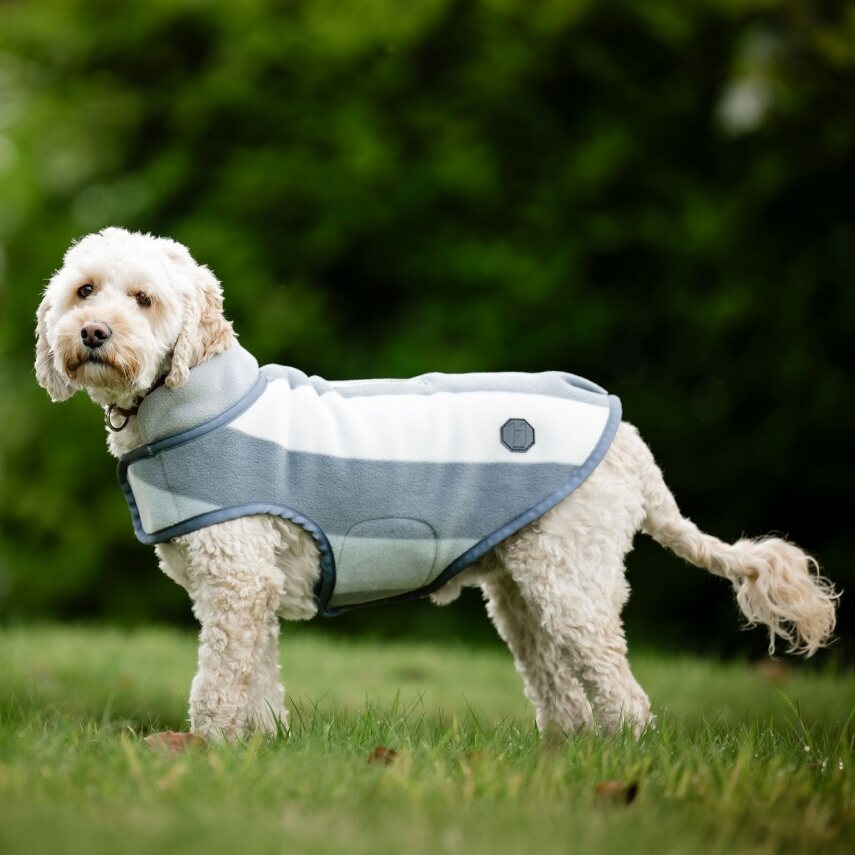 Horseware Newmarket fleece koiraloimi Witney Charcoal