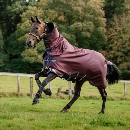 Horseware Amigo Turnout Plus 1200D 100g ulkoloimi + kaulakappale Burgundy/Navy & Titanium Grey