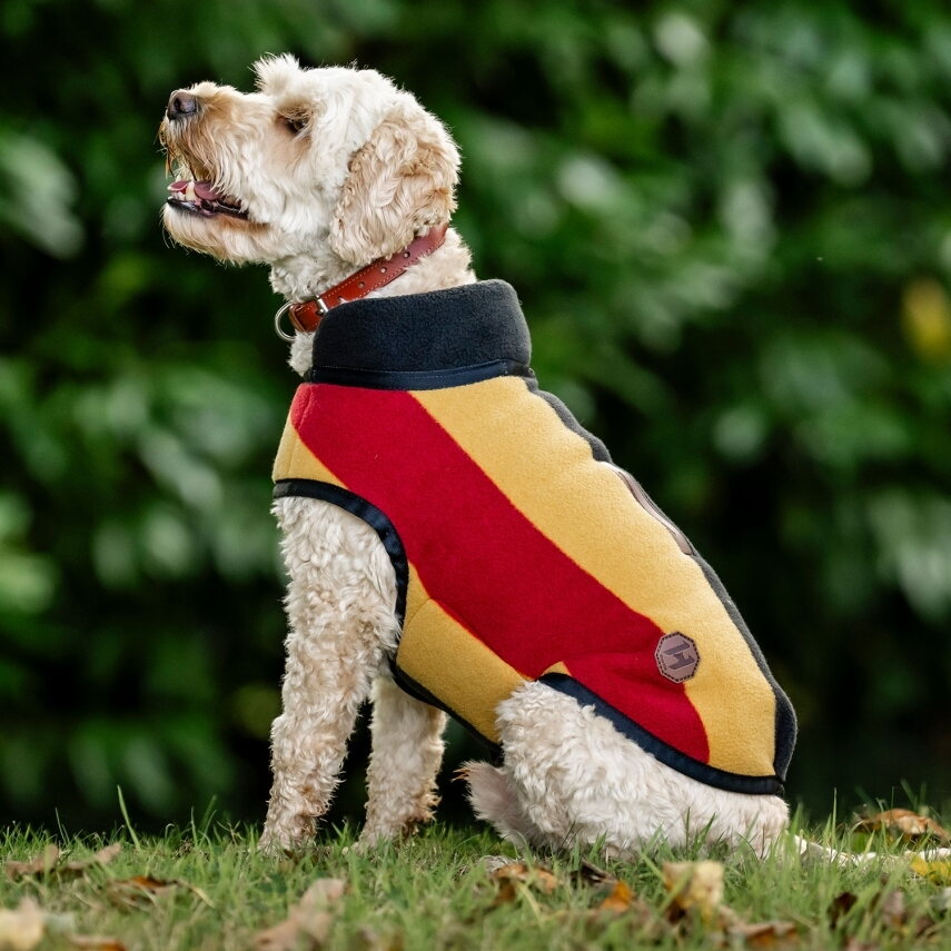 Horseware Newmarket fleece koiraloimi Witney Gold