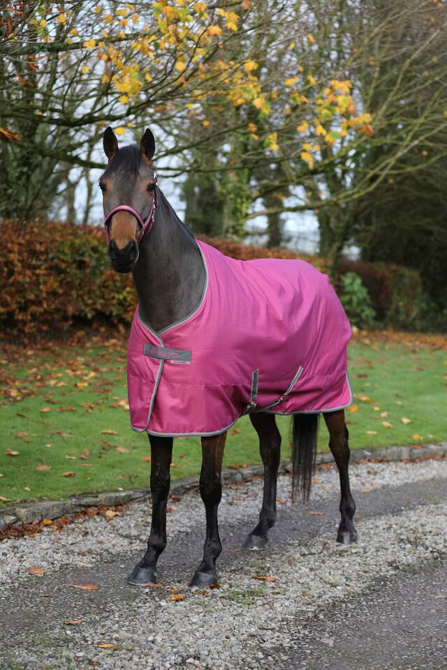 Bucas AW25 Freedom Stable 150g talliloimi Raspberry