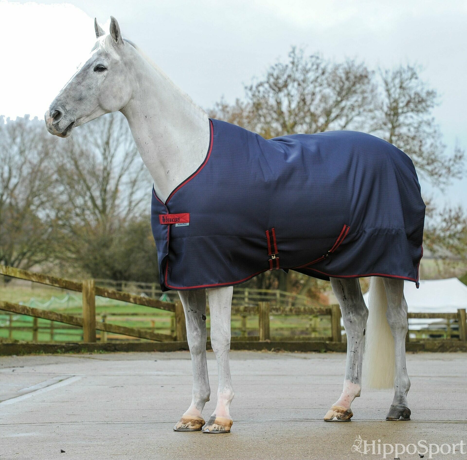 Bucas AW25 Freedom Stable 300g talliloimi Graphite