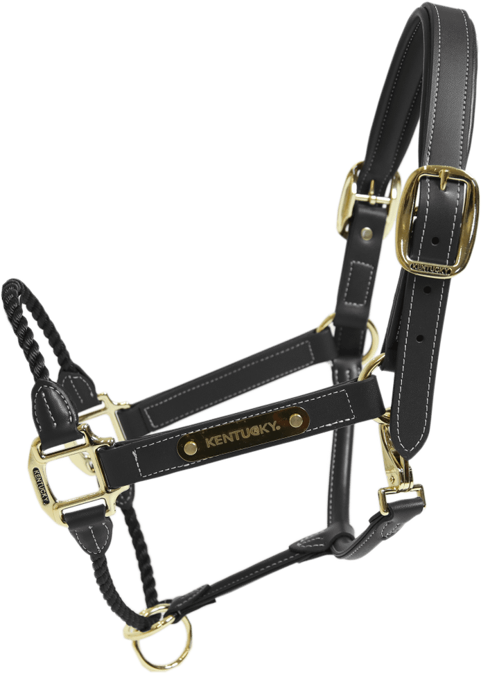 Kentucky Leather Rope riimu Musta